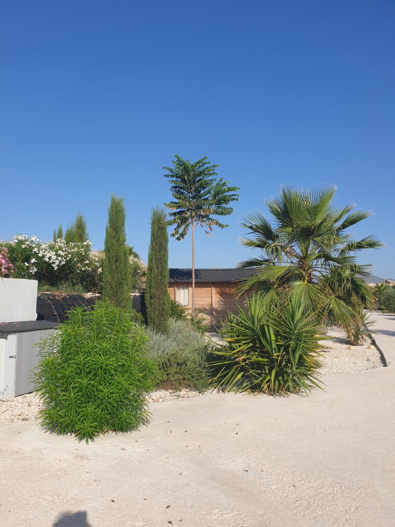 Casa De La Vida Liebetruth A Villa Aspe Eksteriør billede